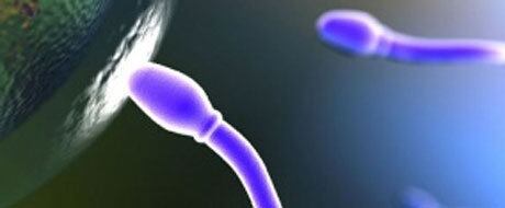 Estudos vêm relatando declínios na contagem de esperma desde o início dos anos 1990, mas muitos destes foram questionados porque não levaram em conta grandes fatores de distorção em potencial, como idade, atividade sexual e os tipos de homens envolvidos