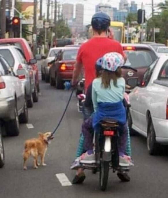 O piloto da moto deveria estar num canil, mas tudo bem