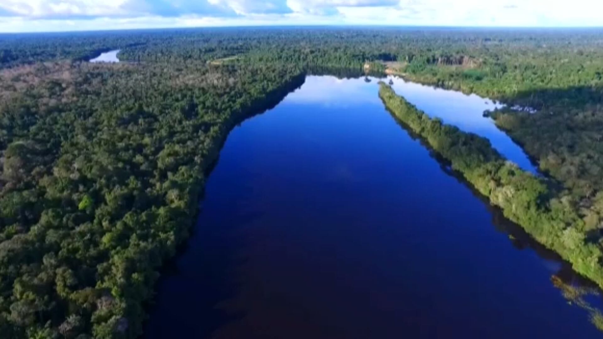BNDES disponibiliza R$ 100 milhões para projetos de reflorestamento e preservação ambiental