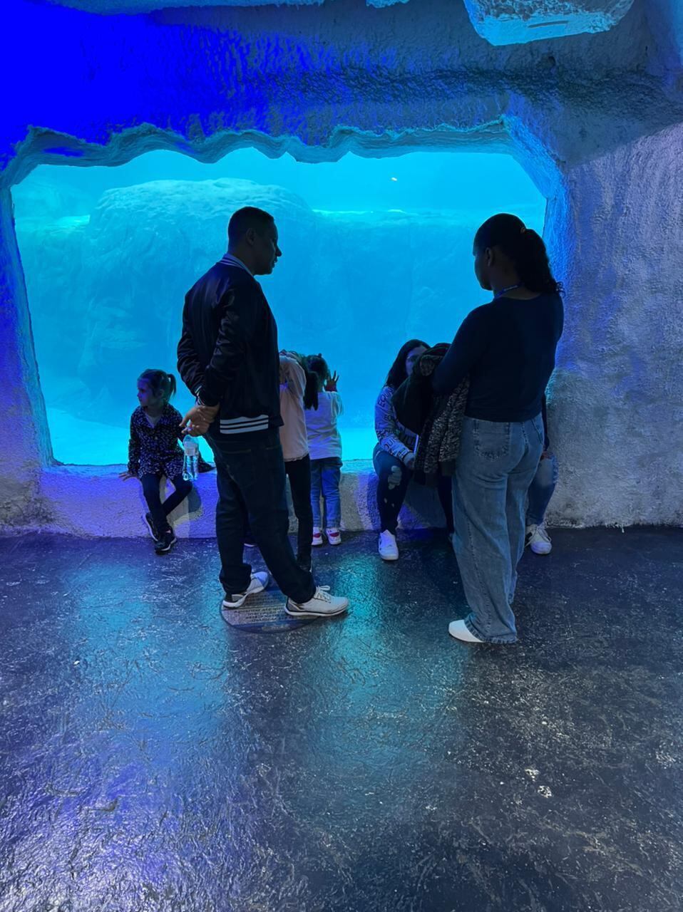 Inaugurado
em 2006, o Aquário de São Paulo foi o primeiro temático da América
Latina. É possível encontrar ursos-polares, cangurus, pinguins, tubarões
e diversos outros bichos. O espaço reúne também réplicas pré-históricas no Vale dos Dinossauros.

 

O ingresso varia de R$ 80 (crianças a partir de 2 anos) a R$ 100. De segunda a domingo, das 9h às 17h. O aquário fica perto da estação Santos-Imigrantes da linha 2-Verde do Metrô