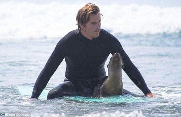 Imagine estar dentro do mar,
surfando, e de repente um leão-marinho pula nas suas costas e lhe abraça por
trás. Daria um pouco de medo, certo? Nem tanto. Foi o que aconteceu com o
surfista Dan Murphy, em San Diego, na California


Vídeo: Jovens valores do Brasil se preparam para amistoso de olho nos Jogos Rio-2016

