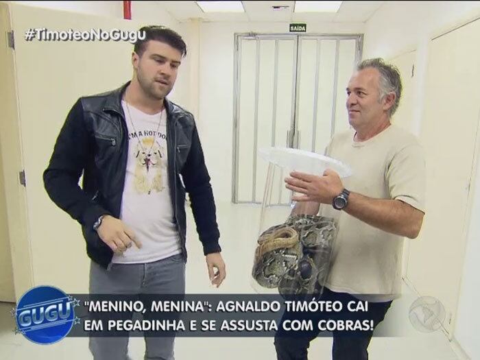 A cobra, que participaria de uma gravação, não tinha lugar para ficar. E foi parar justo onde? Onde Léo Áquilla e Agnaldo Timóteo esperavam para participar do Gugu 

+ Quer assistir às íntegras do programa Gugu? Acesse R7 Play e veja quando e onde quiser!