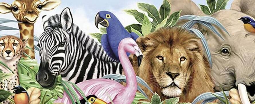 Teia de aranha é o material mais resistente da natureza e outros 34 fatos intrigantes sobre animais

O Reino Animal é repleto de mistérios e segredos que os cientistas deram duro para descobrir - ou ainda nem descobriram. Conheça agora as principais curiosidades do mundo animal