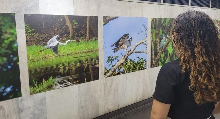 Exposição "Amazônia" apresenta a Reserva Mamirauá