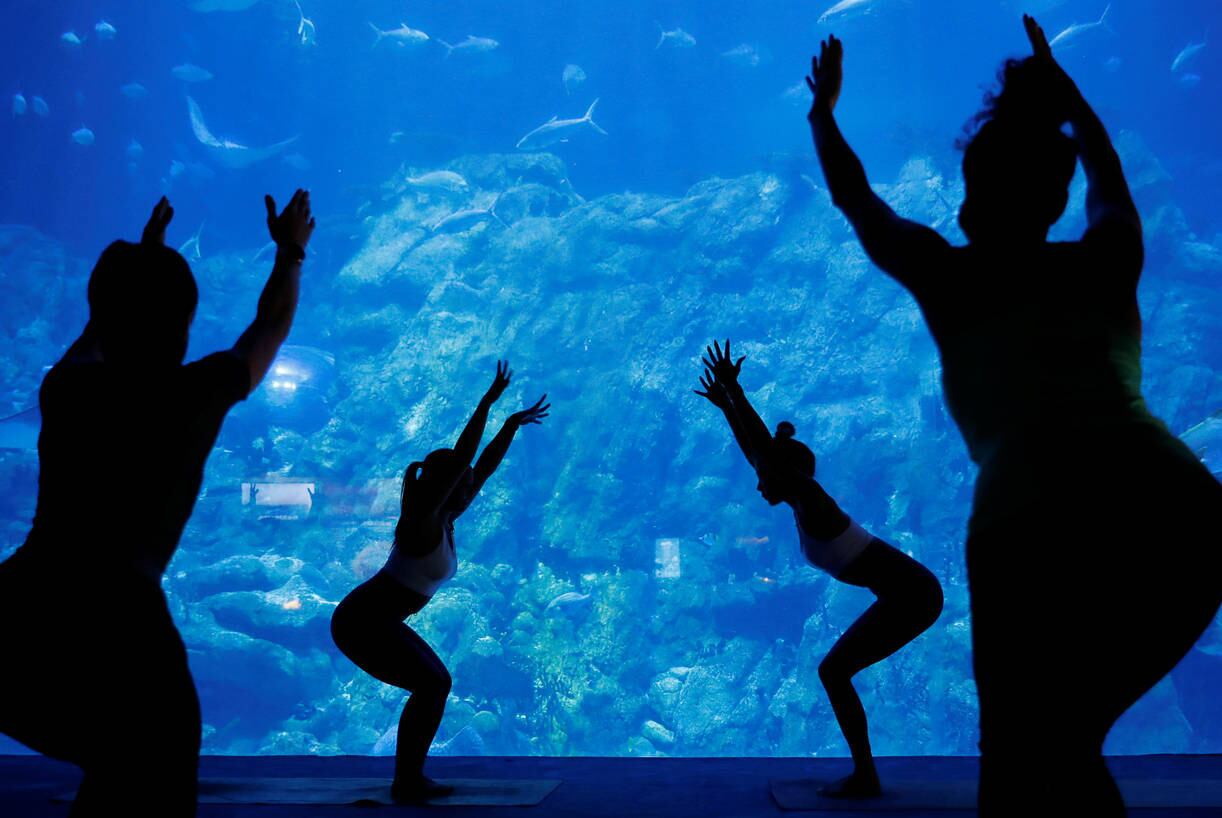 Participants take part in a yoga class at Ocean Park's aquarium, as a new activity to attract visitors amid a drop in tourists due to the coronavirus disease (COVID-19) outbreak, in Hong Kong, China October 8, 2020. REUTERS/Tyrone Siu