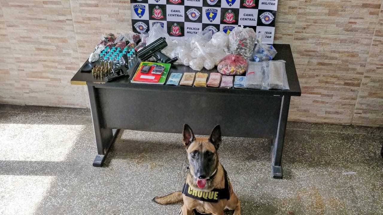 Cadela ajudou a localizar drogas em comunidade de SP