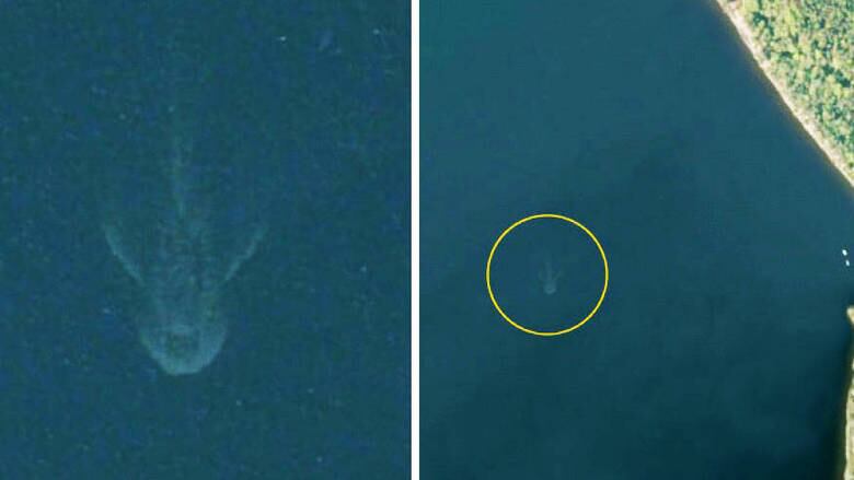 O Monstro do Lago Ness é fruto de uma controvérsia de investigadores ao longo de vários séculos. Nessa imagem, por exemplo, ele foi capturado por satélites do Google Maps