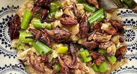 Gafanhotos apimentados com vagens, apargos, ovos, alho e cebola, servidos com arroz integral, quinoa e cevada