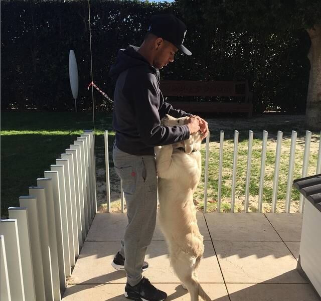 9. Goste de animais
Neymar tem um cachorro por quem é apaixonado. Goste de animais e será vista com outros olhos pelo craque