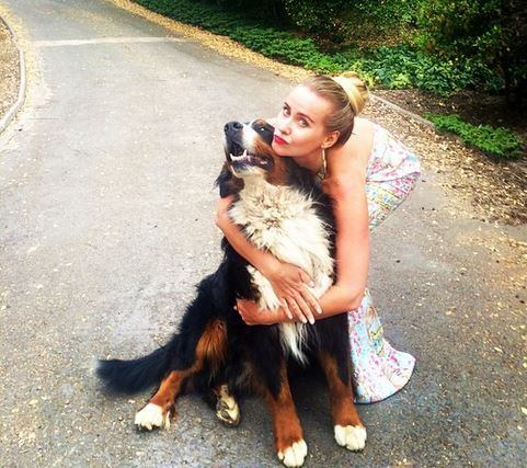 

— Foi por uma boa causa também porque vou ajudar os animais. Vou doar
parte do cachê para uma associação de veterinários

Vídeo: Raul Gazolla e Lola Melnick vivem clima romântico no palco do Legendários

+ Legendários também está no Facebook. Curta!

+ Siga a atração de Marcos Mion no Twitter!
