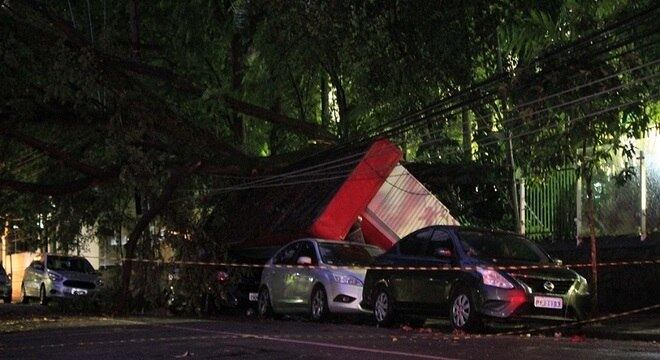 Árvore de grande porte cai sobre banca de jornal e carro no Jardim Bela Vista (SP)