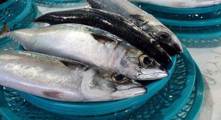 Consumo de peixes e crustáceos é principal suspeita de causa doença no Amazonas