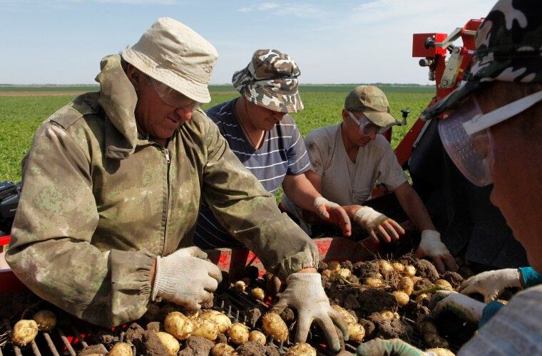 Na área agrícola, para o Reino Unido, carente de recursos no setor, a saída até poderá ser benéfica. O país terá possibilidade de realizar acordos para a importação de commodities com o Mercosul, por exemplo, acelerando um processo que para o país estava estagnado devido à resistência de representantes da União Europeia