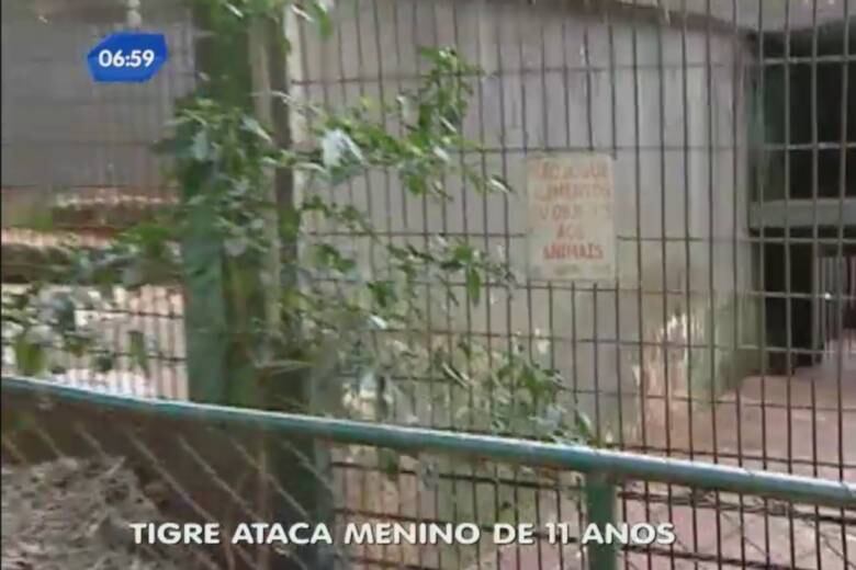 Apesar dos avisos de perigo, o próprio pai teria colocado o filho dentro do espaço que separa o público das jaulas. Antes de ser atacado, o menino já teria brincado com outros animais. Algumas pessoas disseram que tentaram alertar o homem
