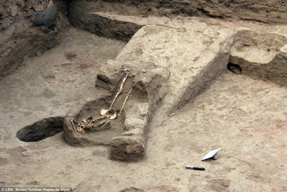 Beberam até o sangue! Arqueólogos descobrem esqueletos de mulheres sacrificadas por sacerdotes

Cientistas descobriram uma "câmara dos horrores" no Peru, onde sacerdotes religiosos praticavam todo tipo de atrocidade em nome de uma religião brutal. Essas são as conclusões de uma escavação feita no norte do país, que mostrou detalhes das lendas e mitologias desses povos antigos