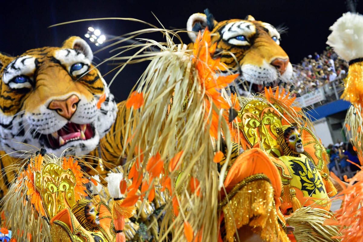 A Casa conquistou seus dois primeiros títulos em 2005 e 2006. Em 2015, a escola ficou em 8º lugar