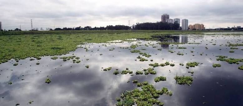 Para os organizadores do evento, Guarapiranga sofre com o despejo de esgotos, ocupações e desmatamentos