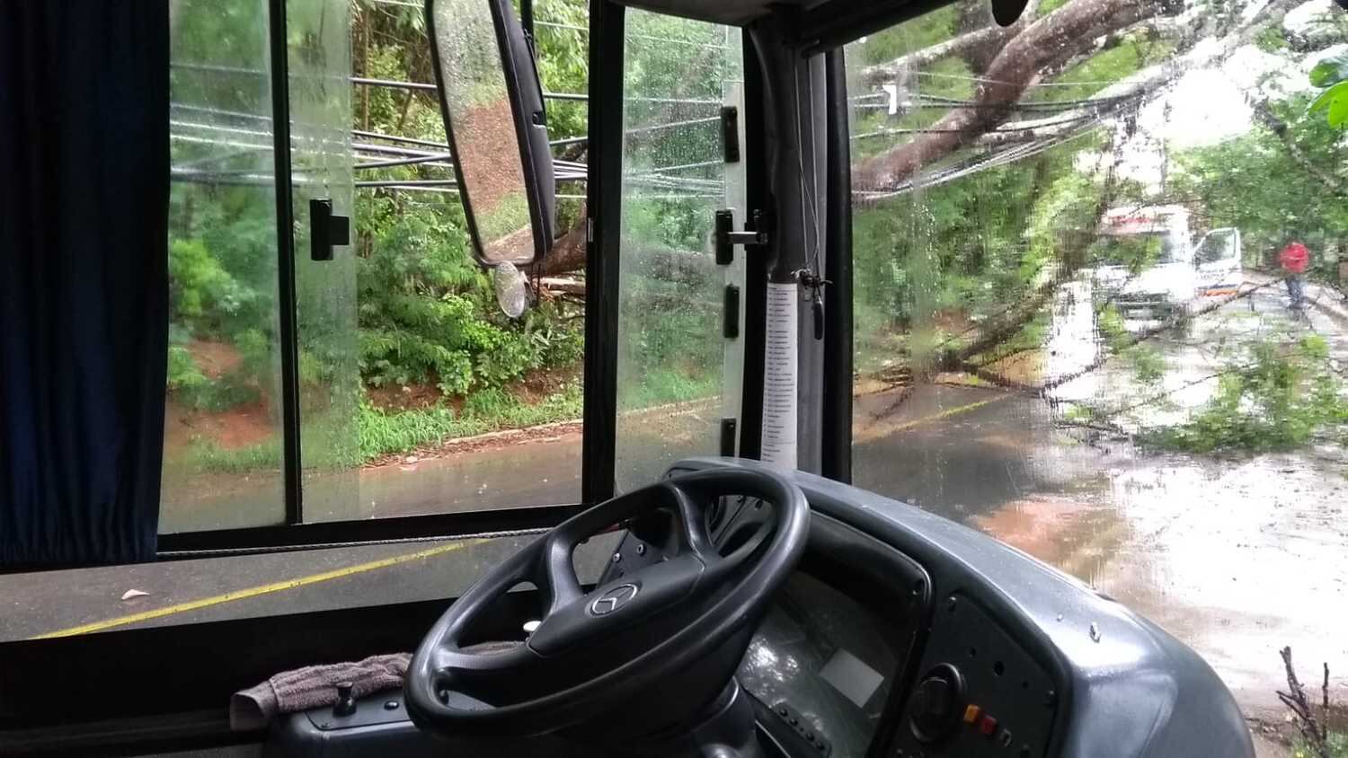 Árvore caiu sobre fiação e ameaça passageiros dentro de ônibus