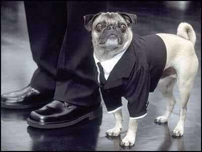 Os Homens de Preto têm um ajudante especial que dá uma mãozinha na caça a aliens: o hilário pug Frank. Mas ele não é um cachorro qualquer, ele usa terno, fala e... Também é um alienígena! Frank na verdade é um Remuliano que usa o corpo do cachorrinho como disfarce