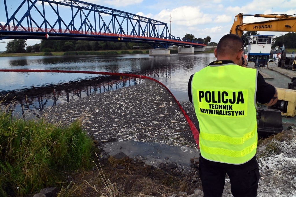 A causa da mortandade é desconhecida, mas as autoridades suspeitam de derramamento de produtos químicos