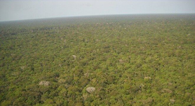 Domínio ".amazon" é disputado entre 8 países e a gigante do comércio eletrônico