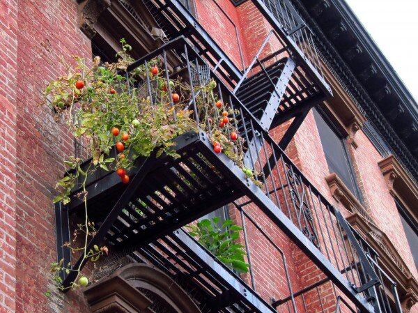 8- Escada de incêndio

As escadas de incêndio no exterior dos prédios são obrigatórias nas cidades dos Estados Unidos desde 1900, sendo, inclusive, icônicas em lugares como Nova York. A medida foi tomada devido ao alto índice de incêndio nas construções norte-americanas. Mas e se você descobrisse que elas foram patenteadas por Anna Connelly em 1897?