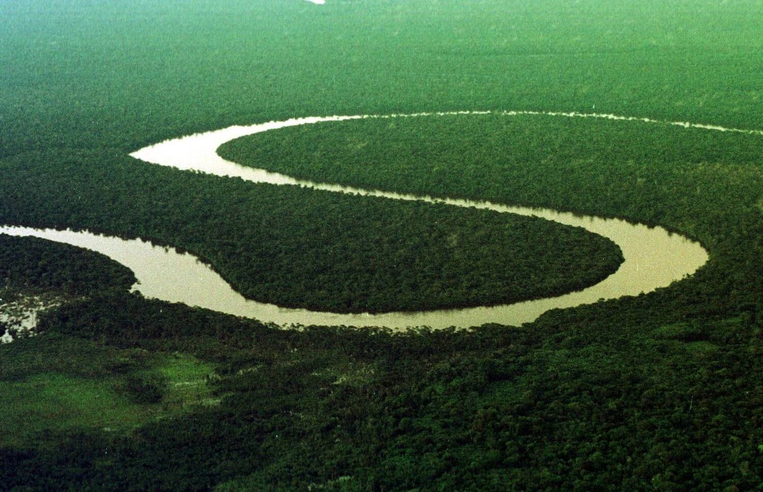 Campanha lançada no Dia da Amazônia custará R$ 3 milhões