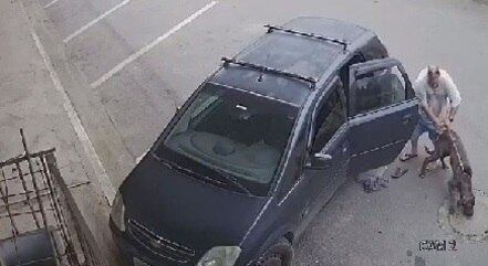 Homem abandona cão da raça fila em Suzano (SP)