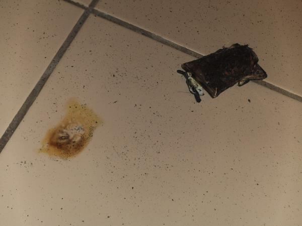 Outro caso que foi relatado nessa semana é o de um LG Optimus L5 que teria apenas quatro meses de uso e pegou fogo aqui no Brasil. Por sorte, ninguém ficou machucado. Saiba mais sobre o acidente