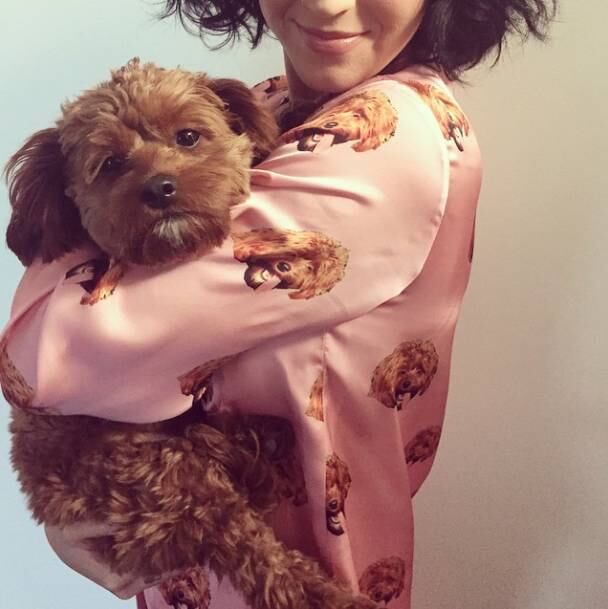 Cachorro Katy Perry, Katy Perry