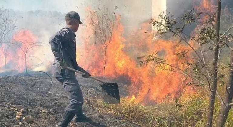 Brigadistas vão atuar nas unidades de conservação de todo o Estado