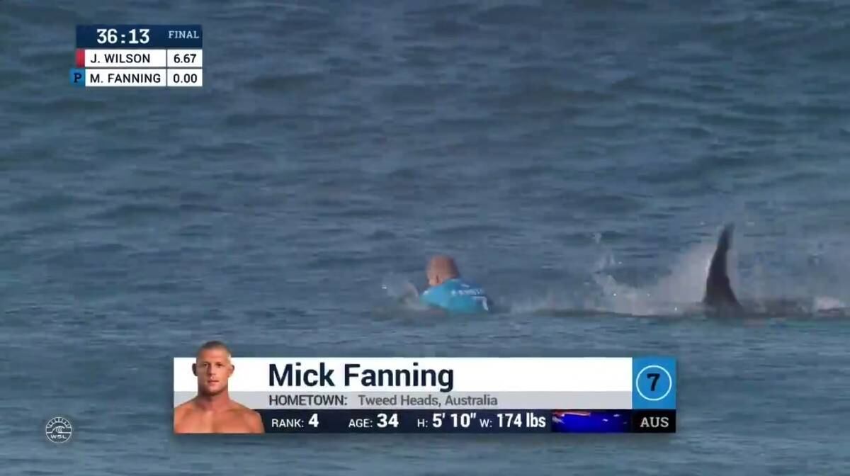 O experiente surfista Mick Fanning escapou por pouco de um ataque de um tubarão-branco, em uma das etapas do circuito mundial de surfe. O australiano disputava a decisão contra o compatriota Julian Wilson, quando sentiu a aproximação do animal enquanto remava na água em busca de uma onda e, totalmente assustado, reagiu dando dois socos no tubarão
