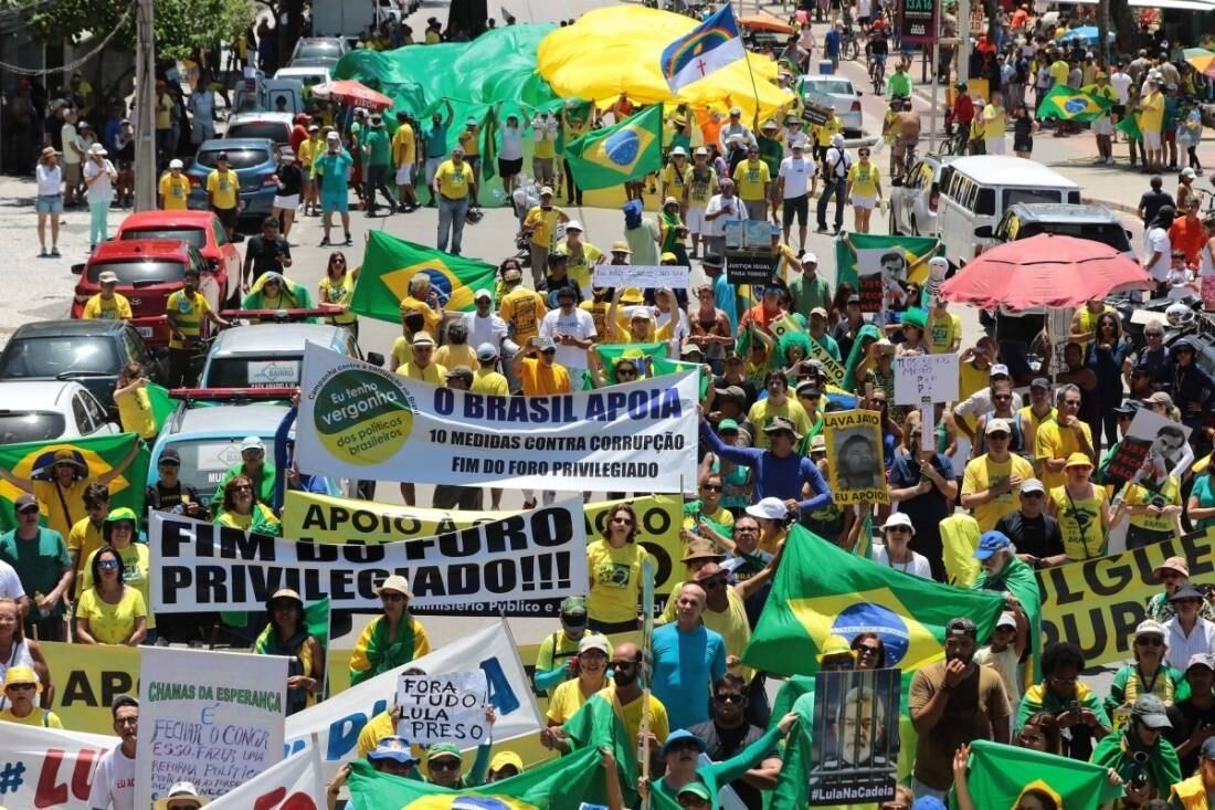 Os protestos são organizados por diversos movimentos, entre eles o Movimento Brasil Livre e Vem Pra Rua