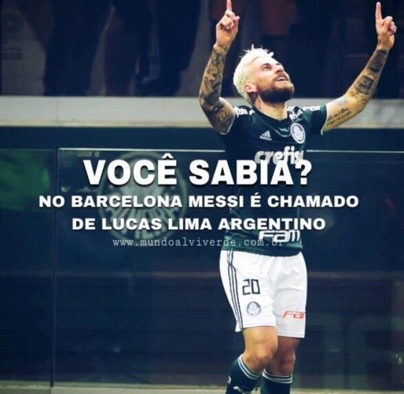 Os melhores memes de Palmeiras 2 x 0 Botafogo