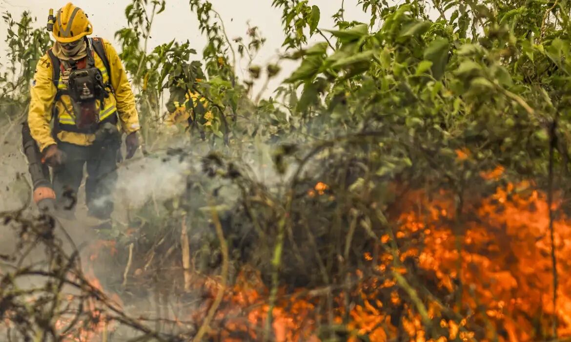 Pantanal liderou a redução com 97,8% a menos de áreas queimadas