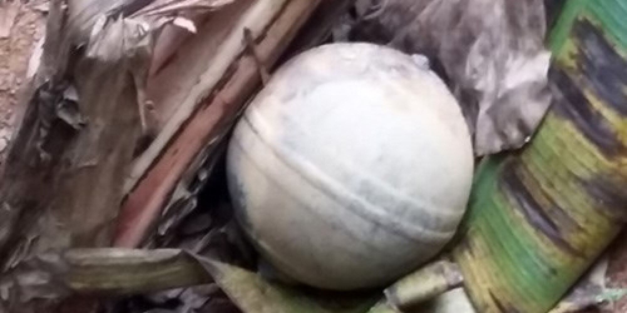 Um dos objetos, com 6kg, chegou a atingir uma casa