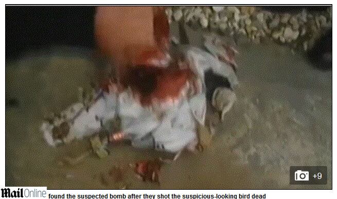 Acredita-se que eles encontraram pedaços de explosivos, um aparelho de transmissão GPS e um
detonador equipados ao corpo da ave