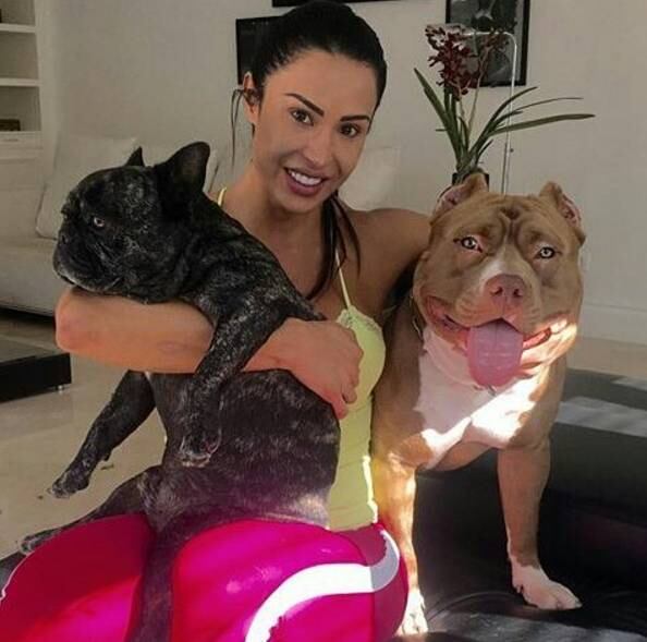 Acima, temos Gracyanne mimando os pitbulls Kira e Thor