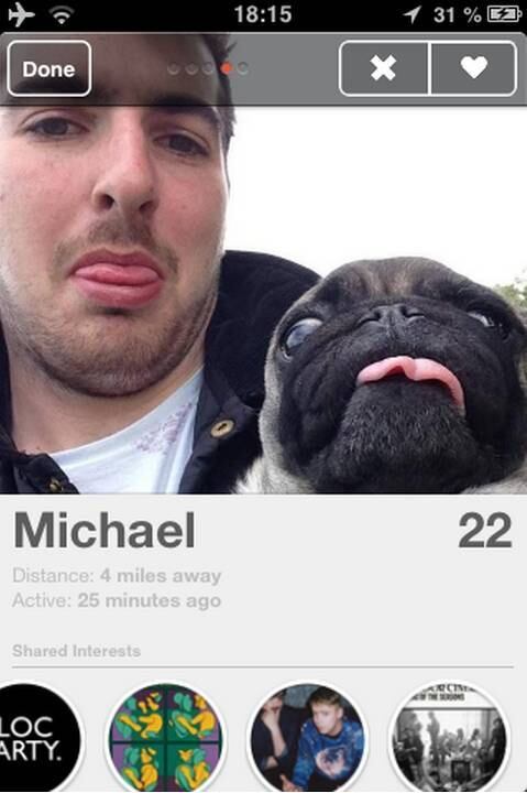 Pelo menos o cachorrinho é bonitinho, vai