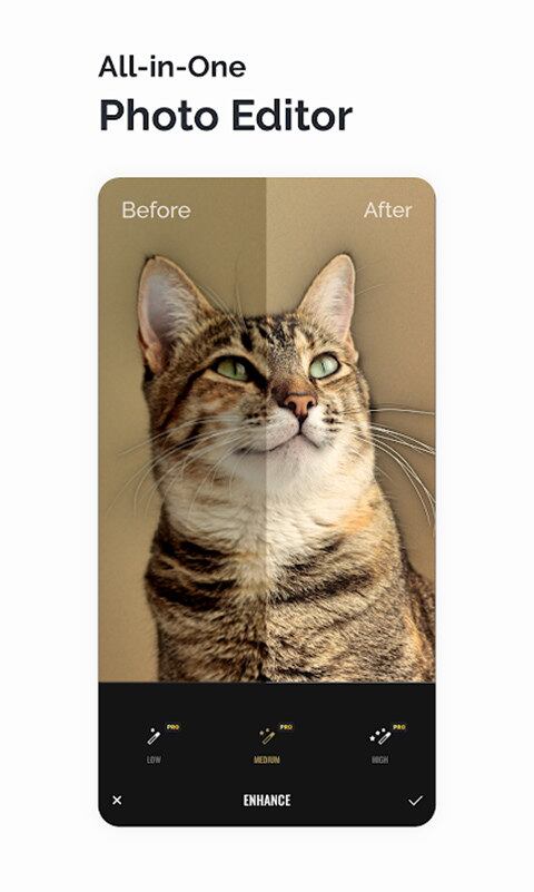 Também muito bem avaliado e com mais de 10 milhões de downloads na Play Store, o Fotor contém uma série de efeitos e ajustes, além de permitir inserção de layouts e composições de fotos.