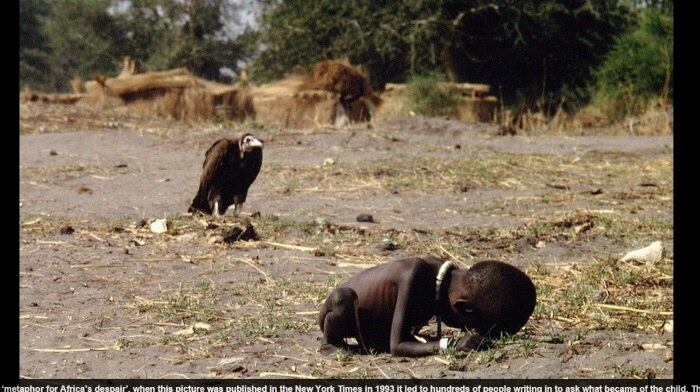 

Outra imagem que chocou a humanidade foi o menino africano,
que era “vigiado” por um corvo, que parecia aguardar sua morte para devorar o
menino. A foto foi tirada no Sudão e retratou a situação de fome e
vulnerabilidade que as crianças africanas passavam.

O fotógrafo Kevin Carter
ficou conhecido quando esta imagem foi publicada no New York Times, mas não
aguentou a pressão da sociedade, por dizer que ele devera ter ajudado a
criança, e se matou três meses após a publicação


