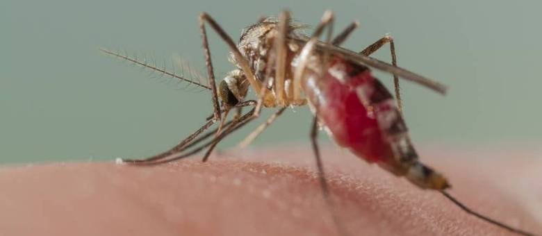 Texto agora segue para promulgação sem necessidade de sanção presidencial