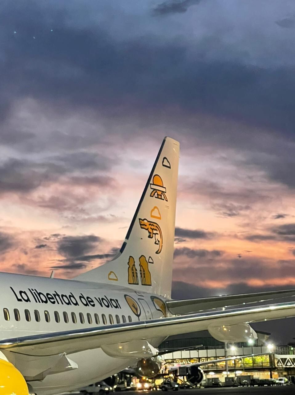 Flybondi: dicas de viagens mais em conta