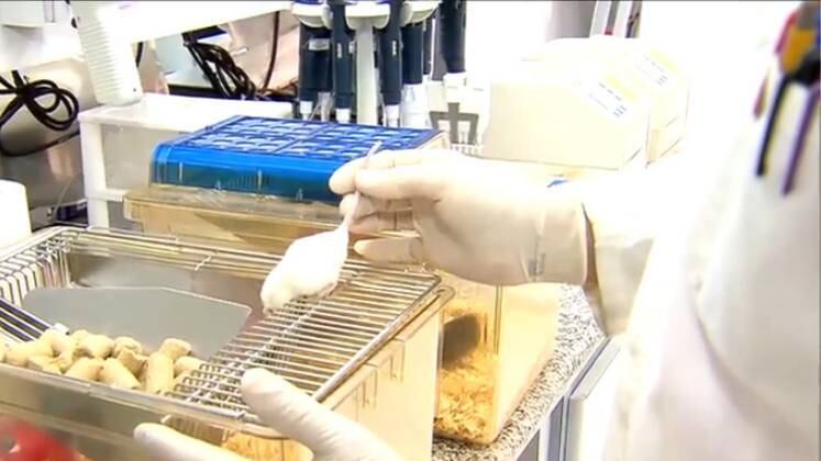 O principal grupo que seria beneficiado pela pílula é formado por pessoas idosas ou que possuem dificuldades de se exercitar, para que elas também possam usufruir dos benefícios da atividade física