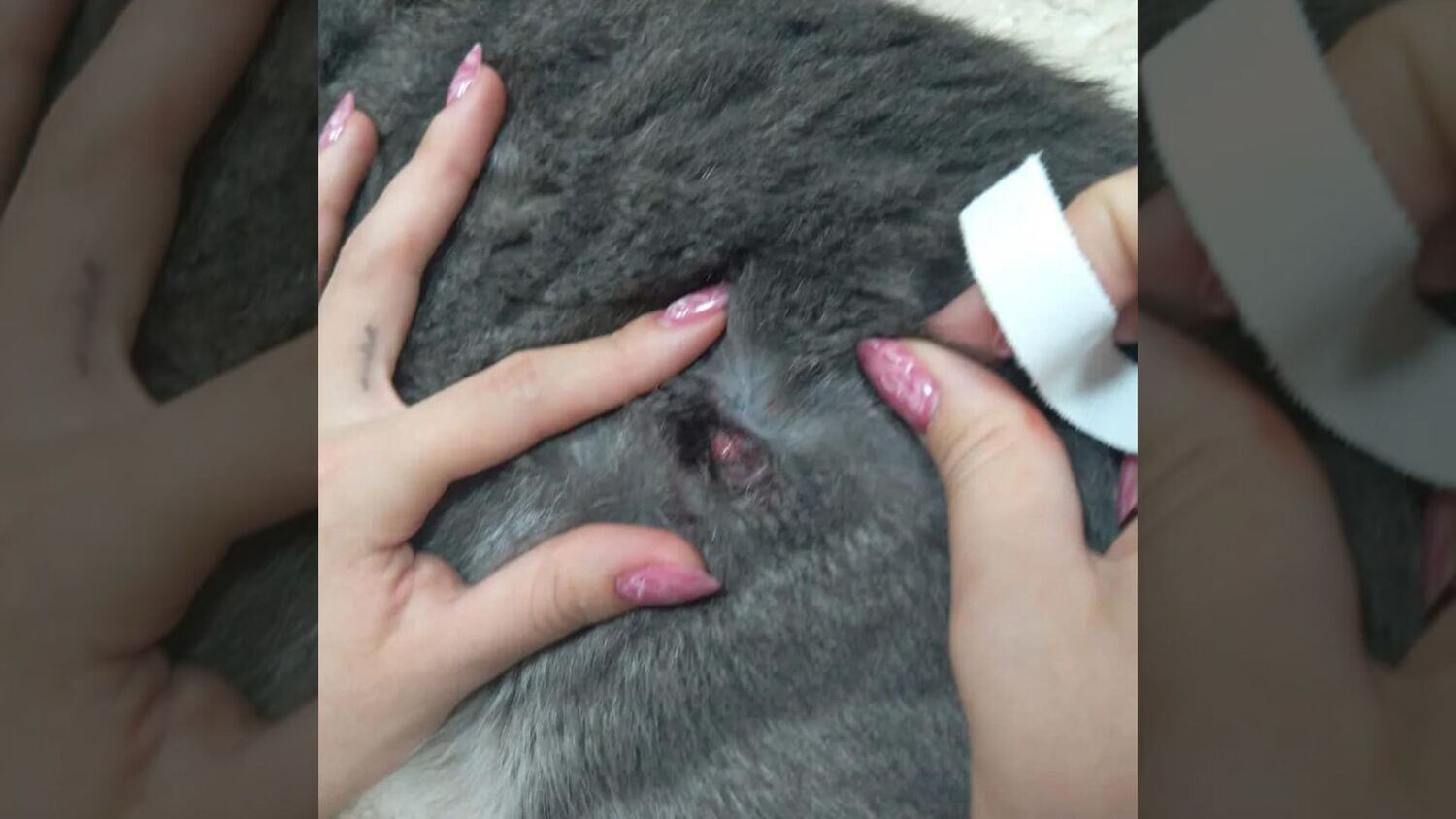 Ferimento causado em Baby, que morreu após ser baleado em condomínio no DF