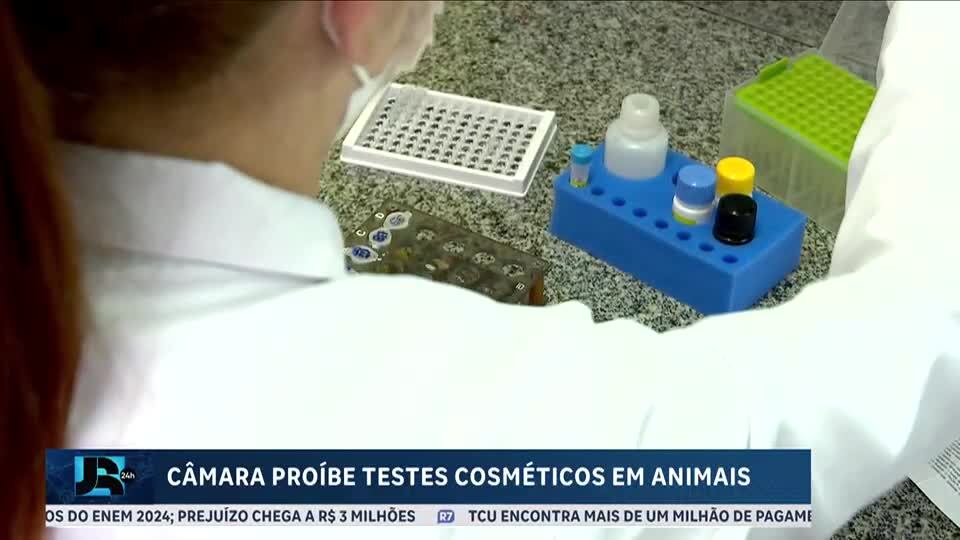 Câmara aprova projeto que proíbe testes de cosméticos em animais