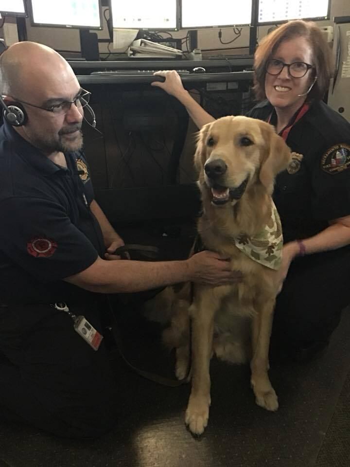 Os animais já atuaram em outras tragédias, como o tiroteio
da escola primária de Sandy Hook, em 2012, e após a passagem do furacão Harvey
este ano