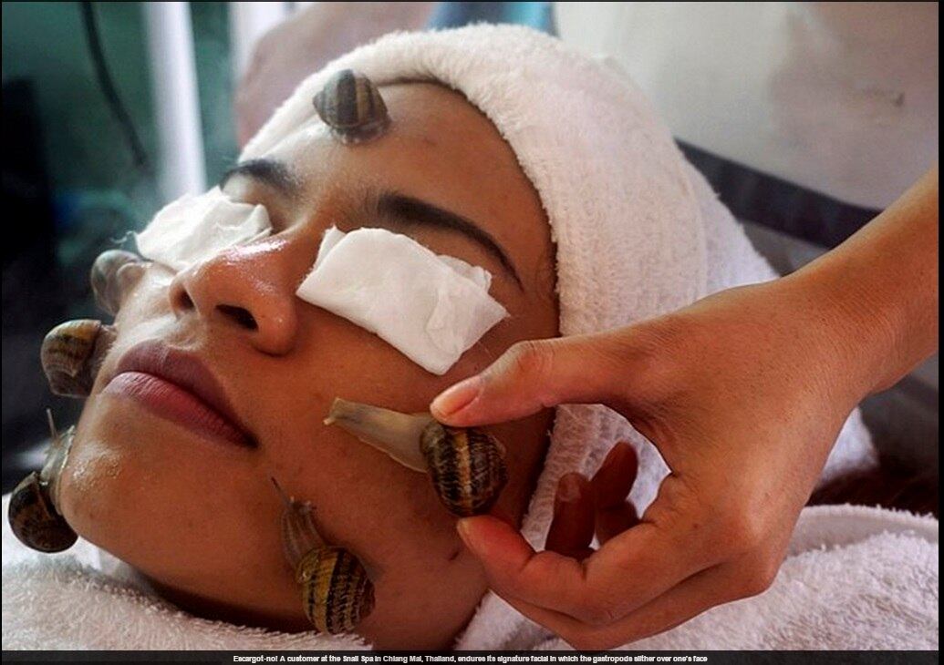 
Uma clínica da Tailândia apostou em um tratamento inusitado
para tratar a acne: massagem com caracóis. De acordo com informações
do jornal Daily
Mail, a aplicação dos bichinhos no rosto custa em torno de R$ 70

Veja mais imagens