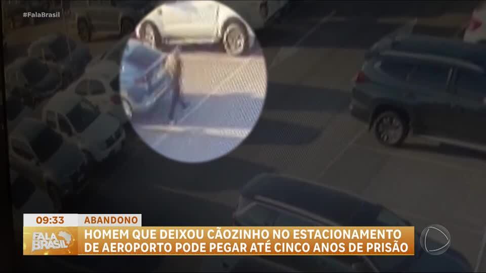 Homem pode pegar até cinco anos de prisão por abandonar cachorro em aeroporto