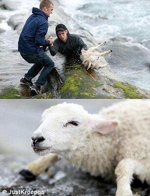 Dois noruegueses trabalharam incansavelmente para resgatar uma ovelha afogada que tinha caído no oceano. A missão foi, felizmente, um sucesso. E os salvadores voltaram para a casa com a sensação de dever cumprido e certamente sentindo-se leves para continuar neste caminho solidário

Guarda civil distribui amor e solidariedade moradores de rua em São Paulo

